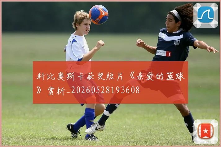 科比奥斯卡获奖短片《亲爱的篮球》赏析_20260528193608