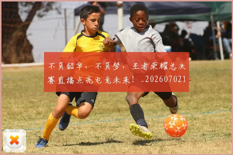 不负韶华，不负梦，王者荣耀总决赛直播点亮电竞未来！_20260702173635